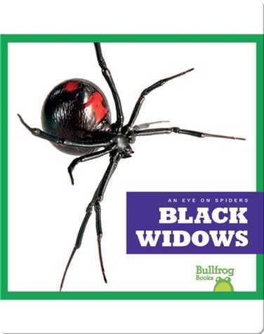Black Widows book
