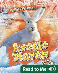 Arctic Hares