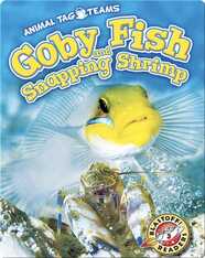 Goby Fish and Snapping Shrimp