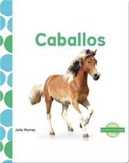 Caballos