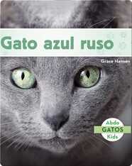 Gato azul ruso