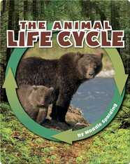 The Animal Life Cycle