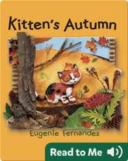 Kitten's Autumn