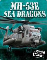 MH-53E Sea Dragons