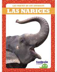Las partes de los animales: Las narices