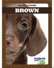 Fun with Colors: Brown