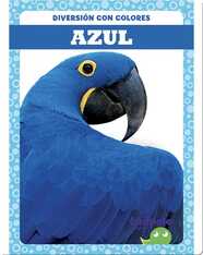 Diversión con colores: Azul