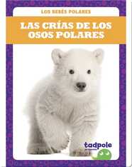 Las crías de los osos polares