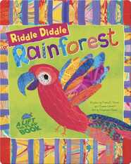 Riddle Diddle Rainforest