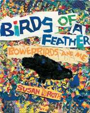 Birds of a Feather: Bowerbirds and Me