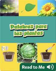 Palabras para plantas