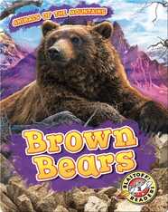 Brown Bears