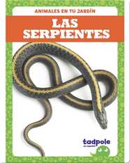 Las serpientes