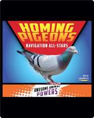 Homing Pigeons: Navigation All-Stars