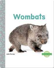 Wombats