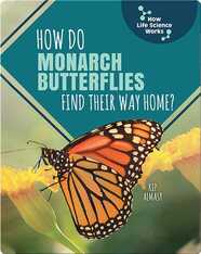 How Do Monarch Butterflies Find Their Way Home?