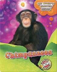 The World's Smartest Animals: Chimpanzees