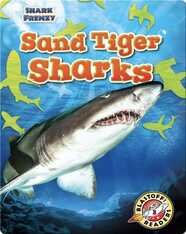 Shark Frenzy: Sand Tiger Sharks