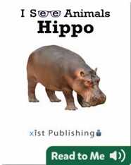 I See Animals: Hippo