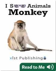 I See Animals: Monkey