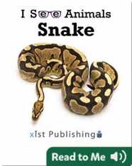 I See Animals: Snake