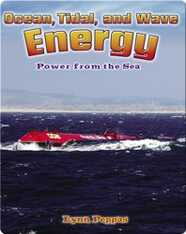 Ocean, Tidal, and Wave Energy: Power from the Sea