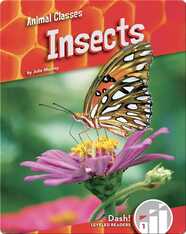 Animal Classes: Insects