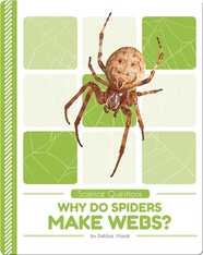 Science Questions: Why Do Spiders Make Webs?