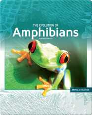 The Evolution of Amphibians