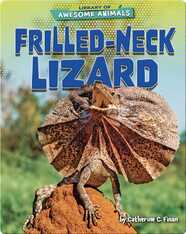 Awesome Animals: Frilled-Neck Lizard