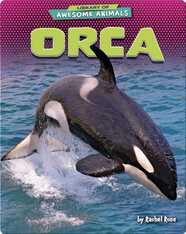 Awesome Animals: Orca