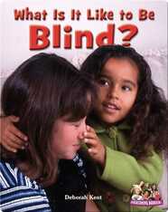 What Is It Like to Be Blind?