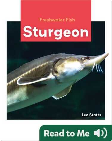 Freshwater Fish: Sturgeon book