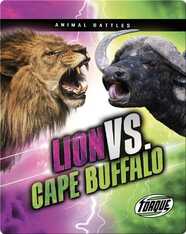 Animal Battles: Lion vs. Cape Buffalo