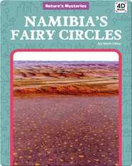 Nature's Mysteries: Namibia's Fairy Circles