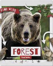 Forest Food Webs