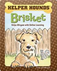 Helper Hounds: Brisket Helps Miryam Deal with Online Learning
