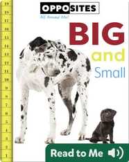 Opposites: Big and Small