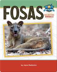 Study of Secretive Animals: Fosas