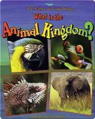What is the Animal Kingdom?