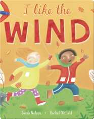 I Like the Wind