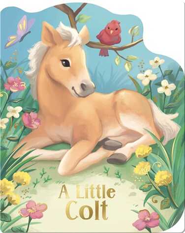 A Little Colt book
