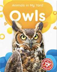Animals in My Yard: Owls