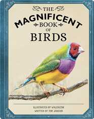 The Magnificent Book of Birds