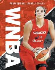 Professional Sports Leagues: WNBA
