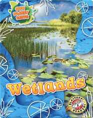 Our Planet Earth: Wetlands