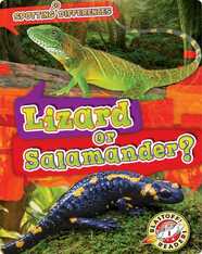 Spotting Differences: Lizard or Salamander?