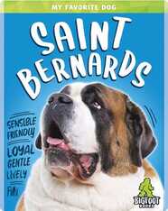 My Favorite Dog: Saint Bernards