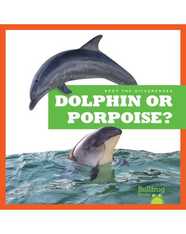 Spot the Differences: Dolphin or Porpoise?