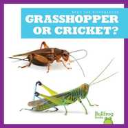 Spot the Differences: Grasshopper or Cricket?